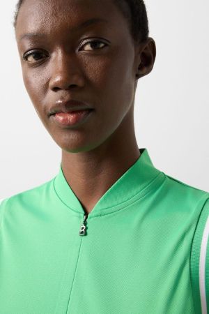 EVI1 GROEN