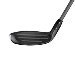 RH QUANTUM MAX H4 DENALI 60 